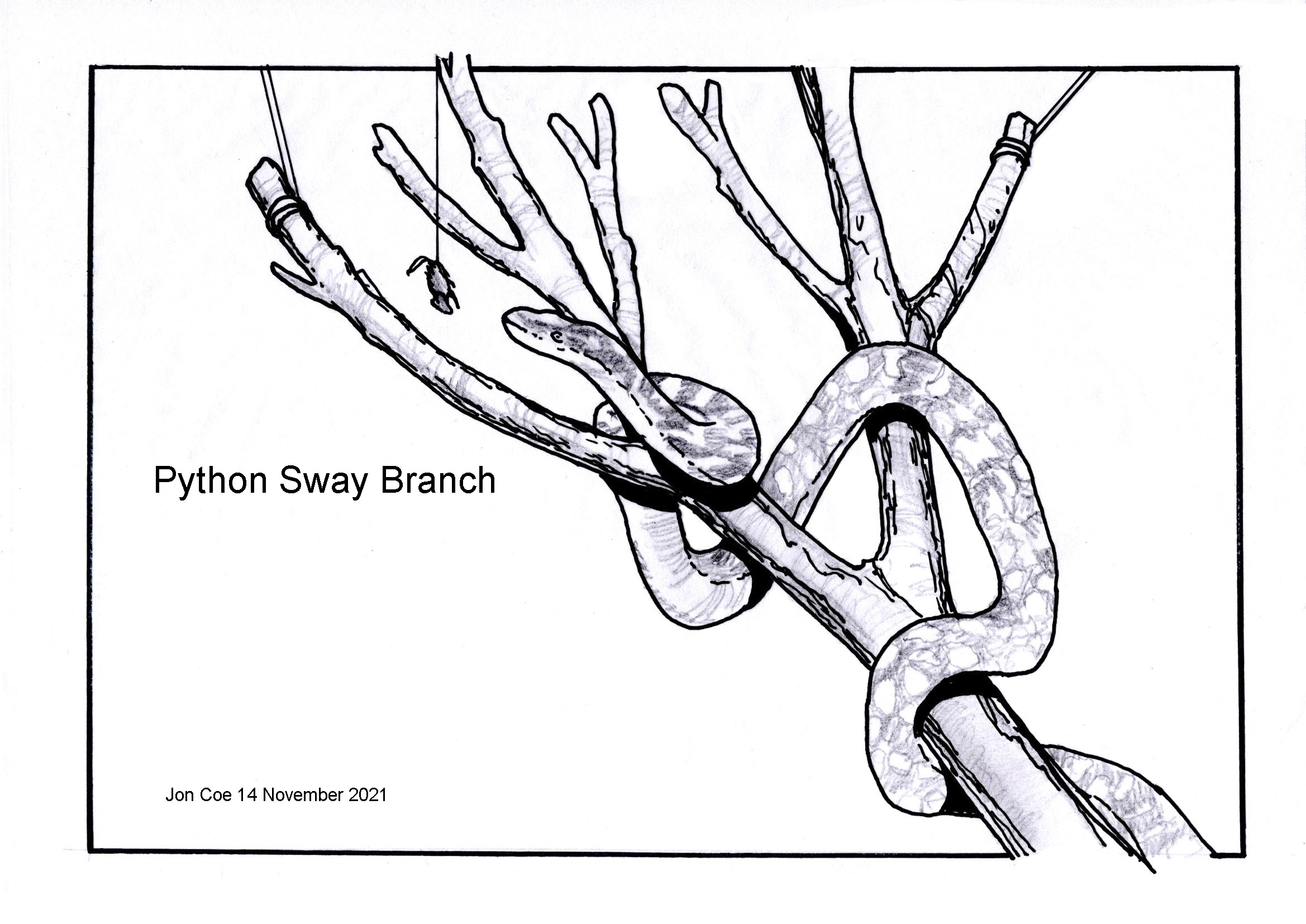 Python on swaying branch