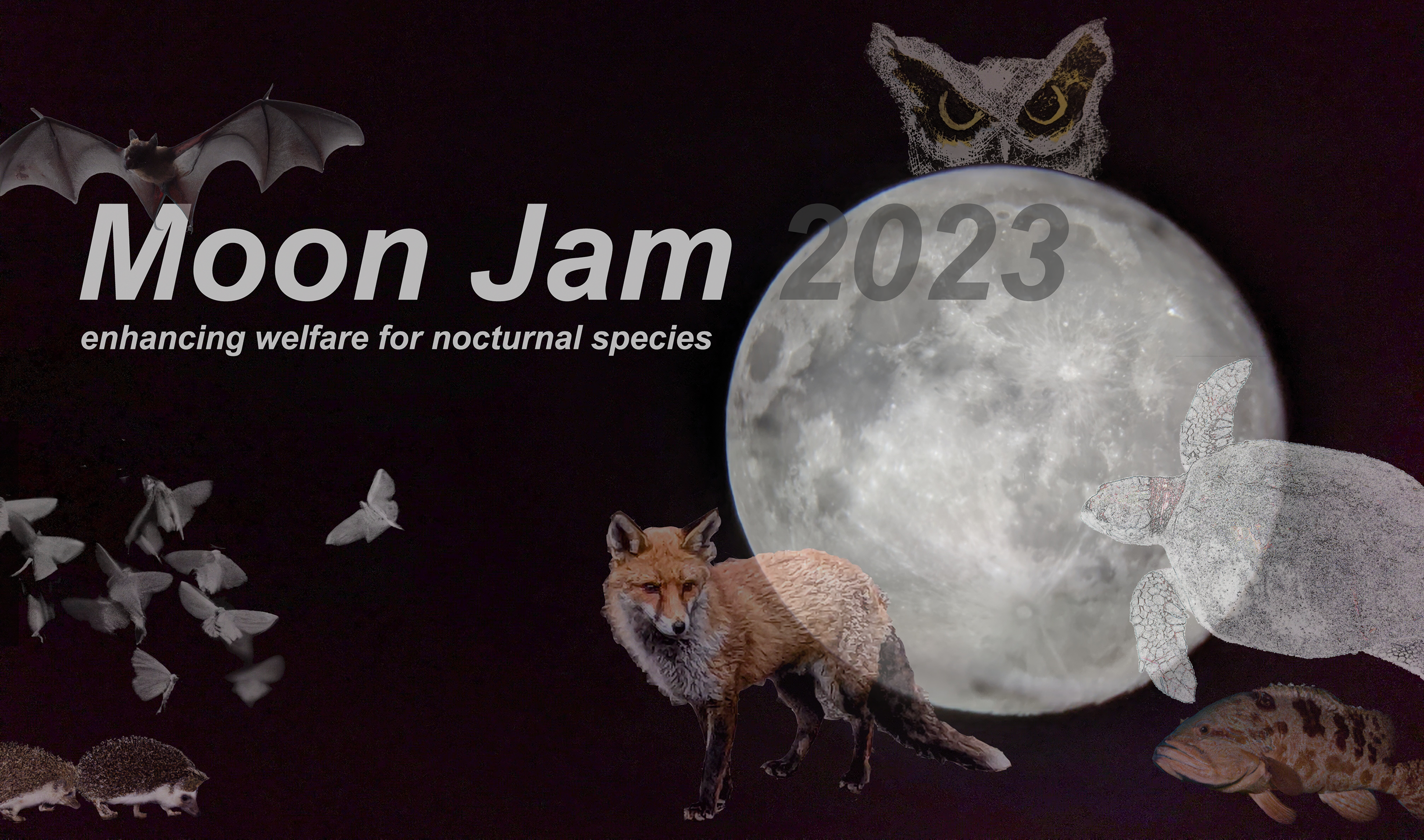 Moon Jam 2023