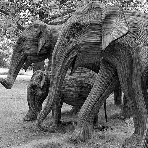 Moon Jam 2023 wooden elephants