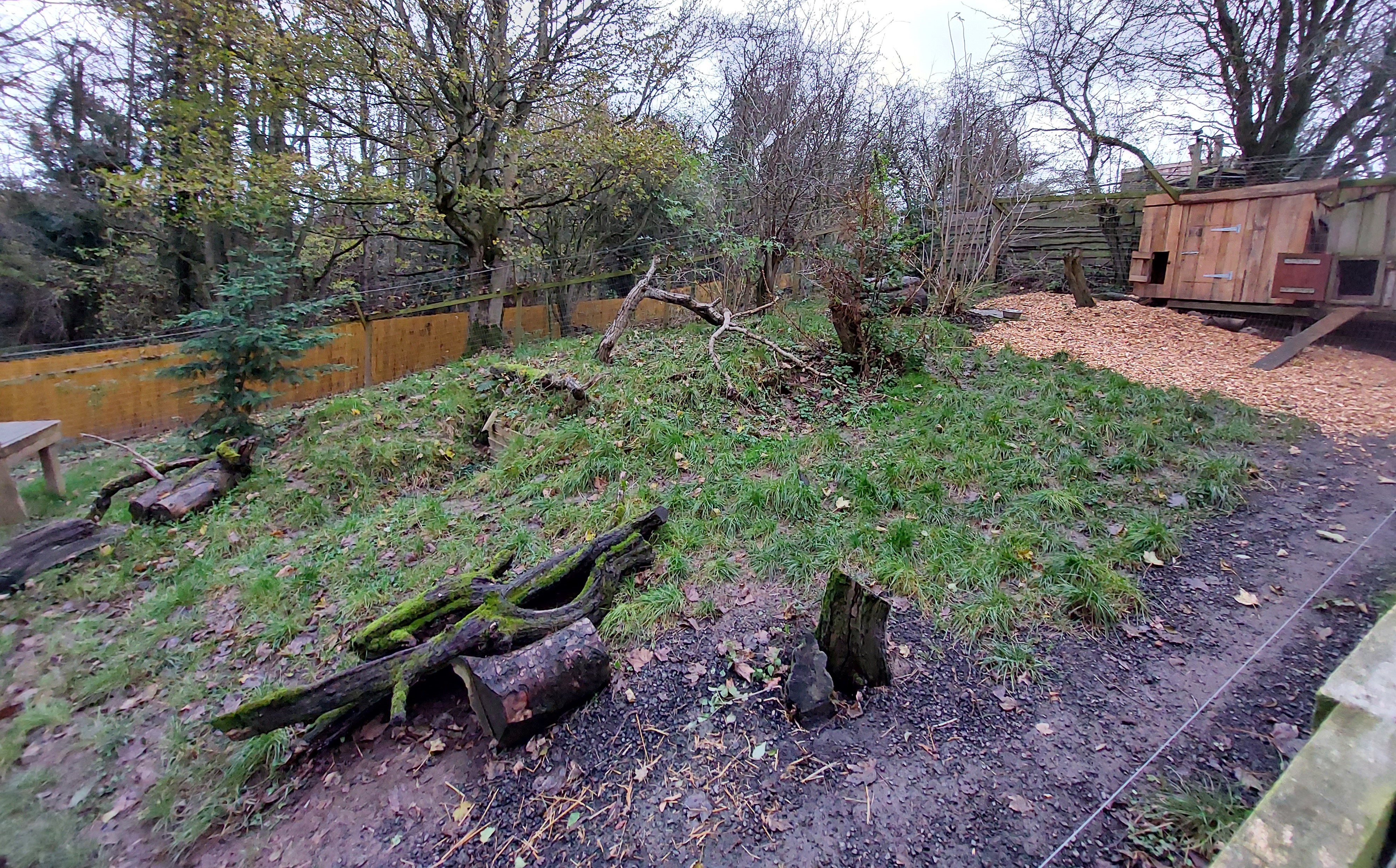 fox enclosure